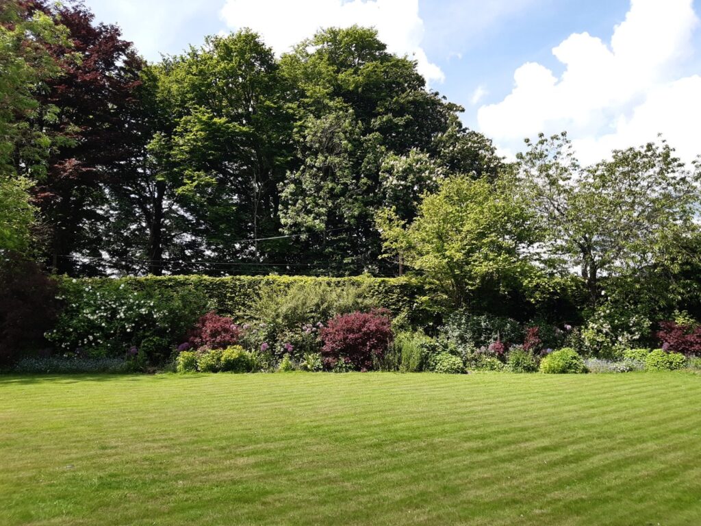 A shrub bed designed for cut flower arrangements, featuring seasonal blooms and foliage for a beautiful and functional garden display.