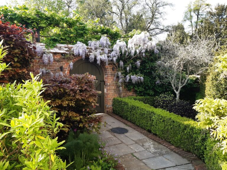 Beautifully pruned wisteria framing the entrance to a historic walled garden.